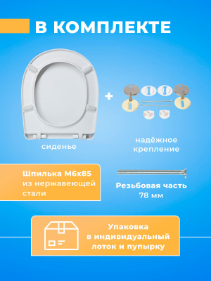 Крышка сиденье для унитаза Sanita Luxe CLASSIC с микролифтом Sensea Borneo Борнео пластиковое быстросъемное стульчак
